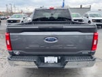 2023 F-150 Thumbnail 6