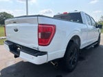 2023 F-150 Thumbnail 8