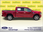 2023 F-150 Thumbnail 6