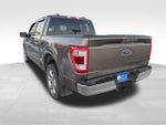 2023 F-150 Thumbnail 6