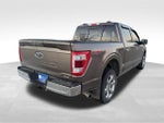 2023 F-150 Thumbnail 9
