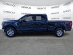 2023 F-150 Thumbnail 5