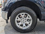 2023 F-150 Thumbnail 7