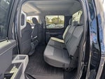 2023 F-150 Thumbnail 10