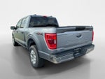 2023 F-150 Thumbnail 6