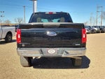 2023 F-150 Thumbnail 4
