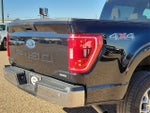 2023 F-150 Thumbnail 11