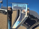2023 F-150 Thumbnail 13