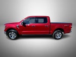 2023 F-150 Thumbnail 8