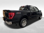 2023 F-150 Thumbnail 4