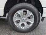 2023 F-150 Thumbnail 8