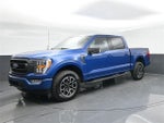2023 F-150 Thumbnail 4