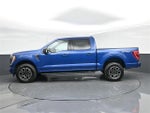 2023 F-150 Thumbnail 5