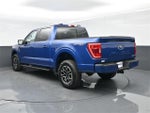 2023 F-150 Thumbnail 6