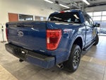 2023 F-150 Thumbnail 12