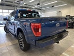 2023 F-150 Thumbnail 14
