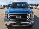 2023 F-150 Thumbnail 9