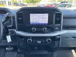 2023 F-150 Thumbnail 12