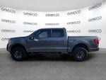 2023 F-150 Thumbnail 4