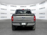 2023 F-150 Thumbnail 6