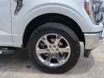 2023 F-150 Thumbnail 12