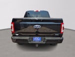 2023 F-150 Thumbnail 5