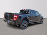 2023 F-150 Thumbnail 6