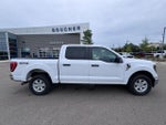 2023 F-150 Thumbnail 3