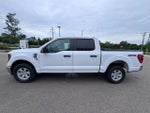 2023 F-150 Thumbnail 4