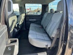 2023 F-150 Thumbnail 13