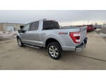 2023 F-150 Thumbnail 8