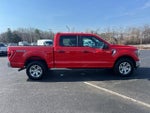 2023 F-150 Thumbnail 6