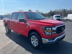 2023 F-150 Thumbnail 7