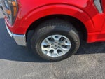 2023 F-150 Thumbnail 9