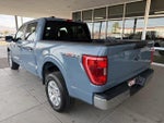 2023 F-150 Thumbnail 6
