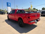 2023 F-150 Thumbnail 8