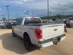 2023 F-150 Thumbnail 8