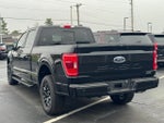 2023 F-150 Thumbnail 3