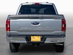 2023 F-150 Thumbnail 5