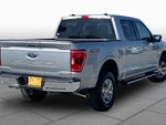 2023 F-150 Thumbnail 13