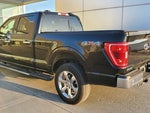 2021 F-150 Thumbnail 4