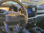 2021 F-150 Thumbnail 6