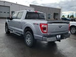 2021 F-150 Thumbnail 3