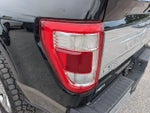 2021 F-150 Thumbnail 13