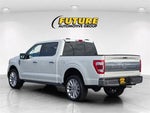 2021 F-150 Thumbnail 8