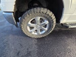 2021 F-150 Thumbnail 10