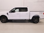 2021 F-150 Thumbnail 7