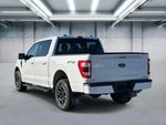 2021 F-150 Thumbnail 3