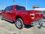 2021 F-150 Thumbnail 5