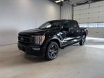 2021 F-150 Thumbnail 3